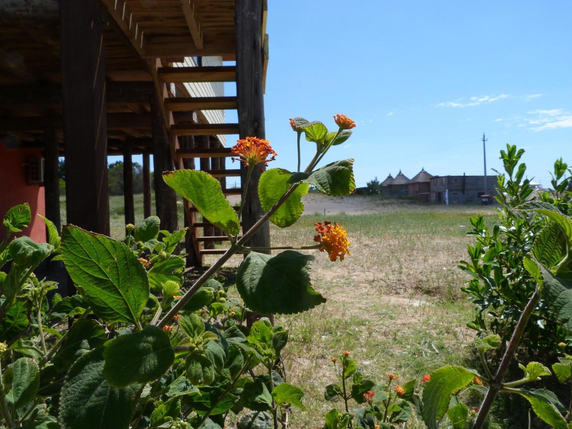 Cabanas El Ocio Punta Del Diablo Kültér fotó